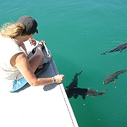 Picture 036